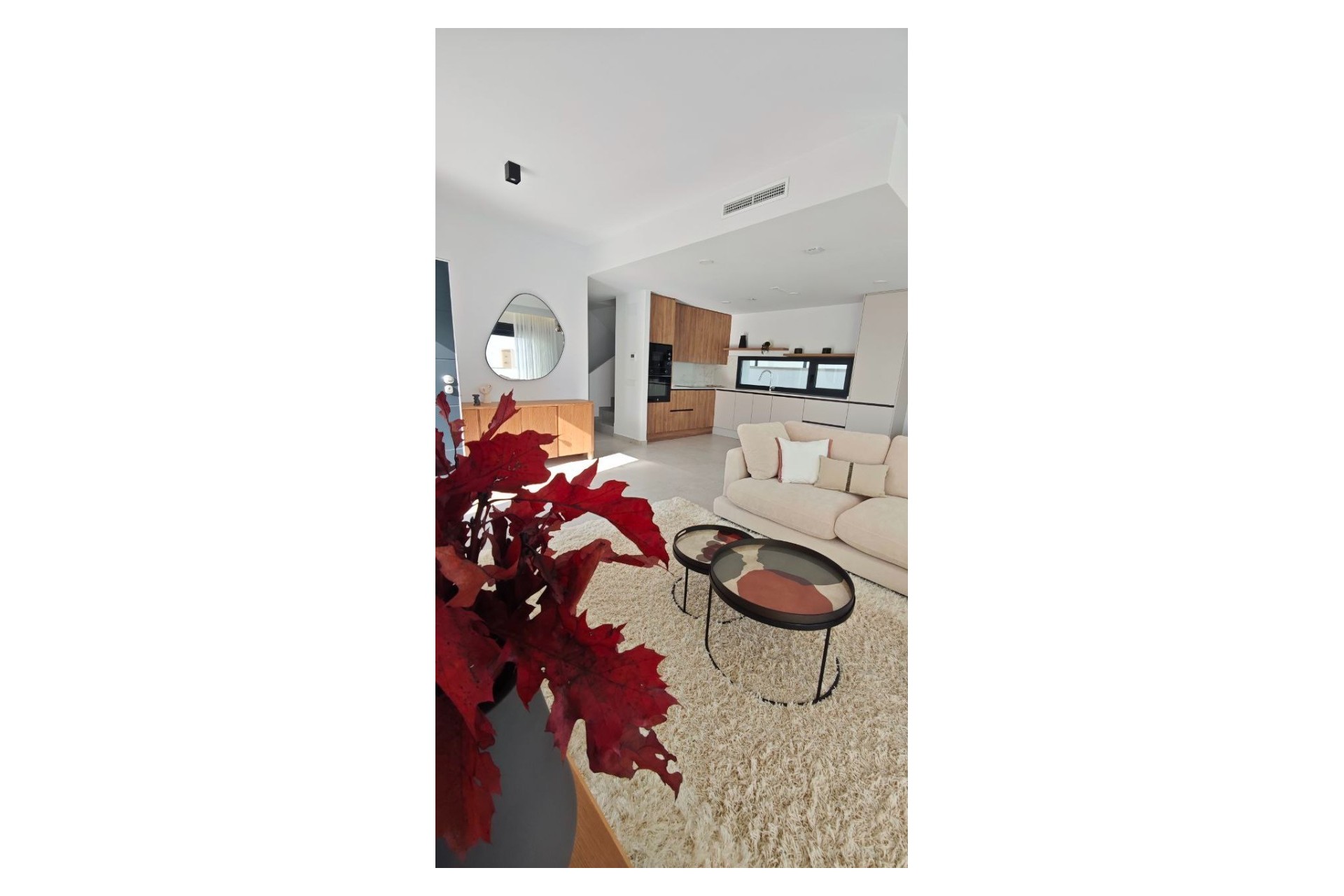 Nowe budownictwo - Willa -
San Miguel de Salinas