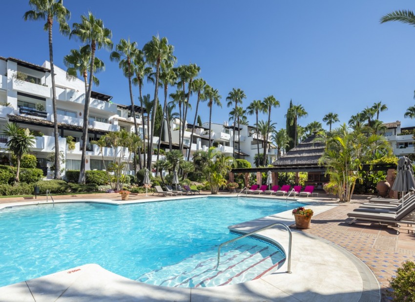 Nowe budownictwo -  -
