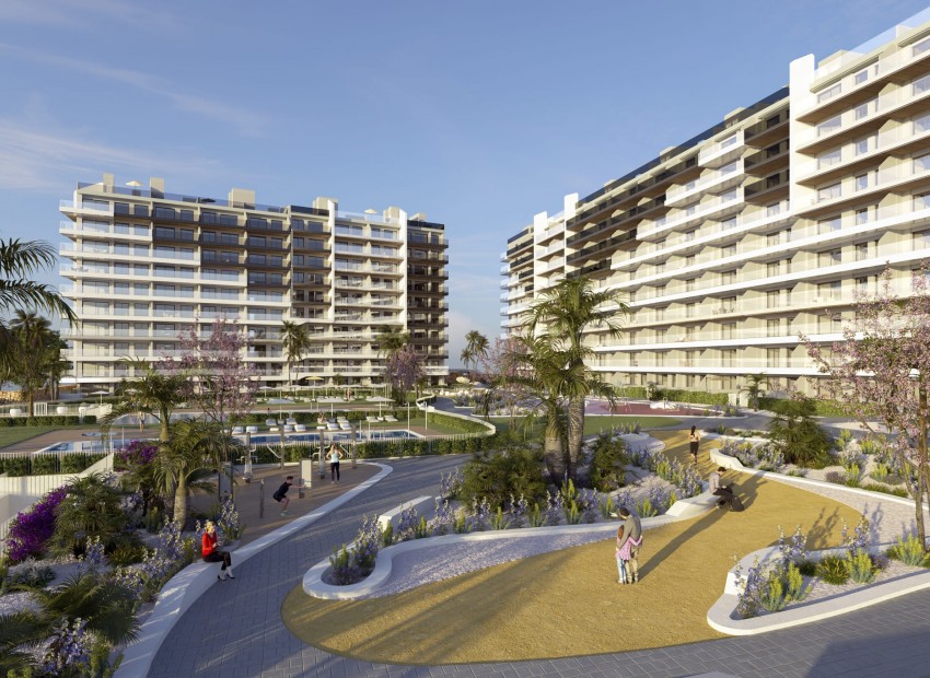 Nueva construcción  -  -
Punta Prima