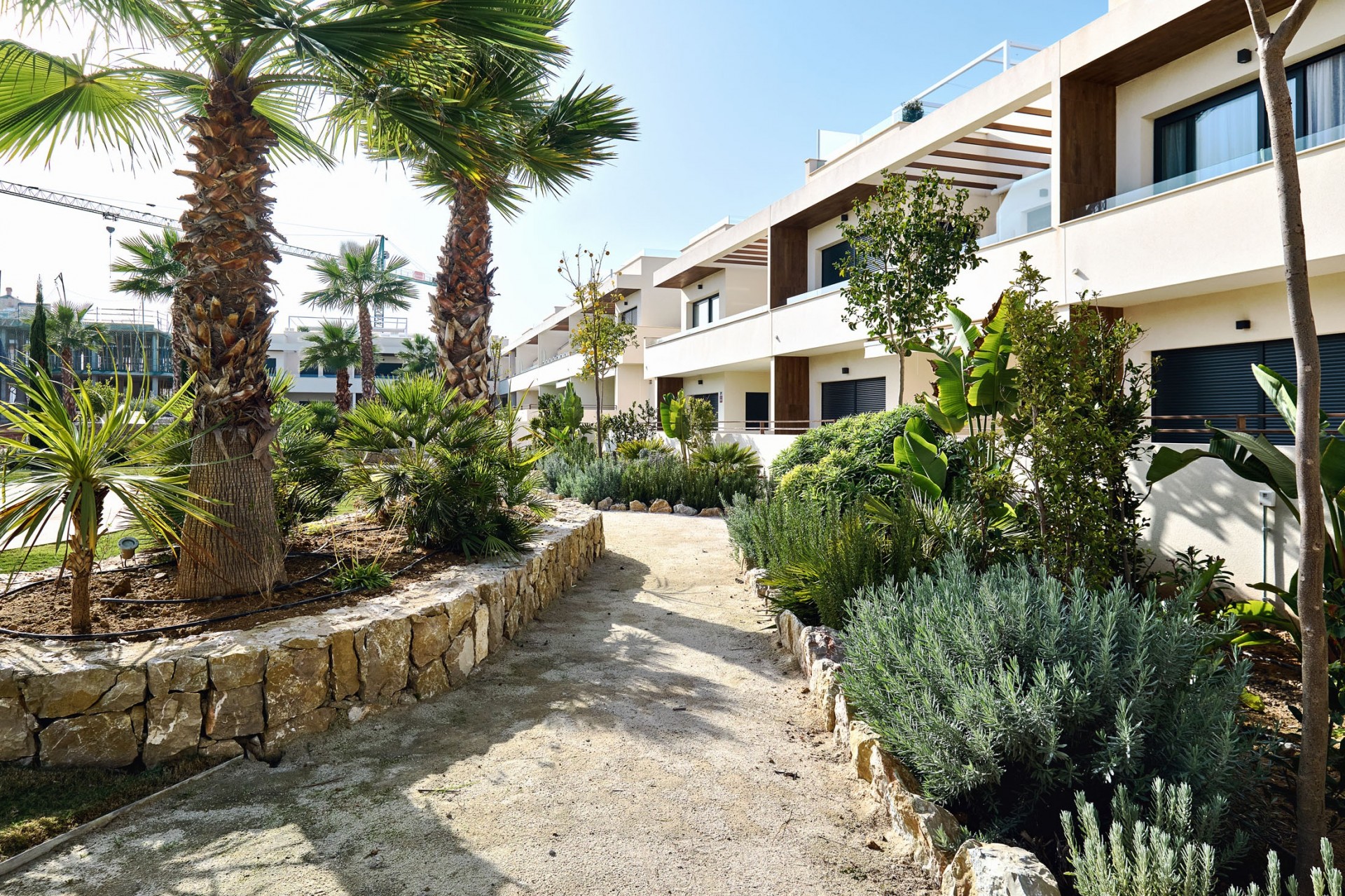 Nueva construcción  -  -
Torrevieja