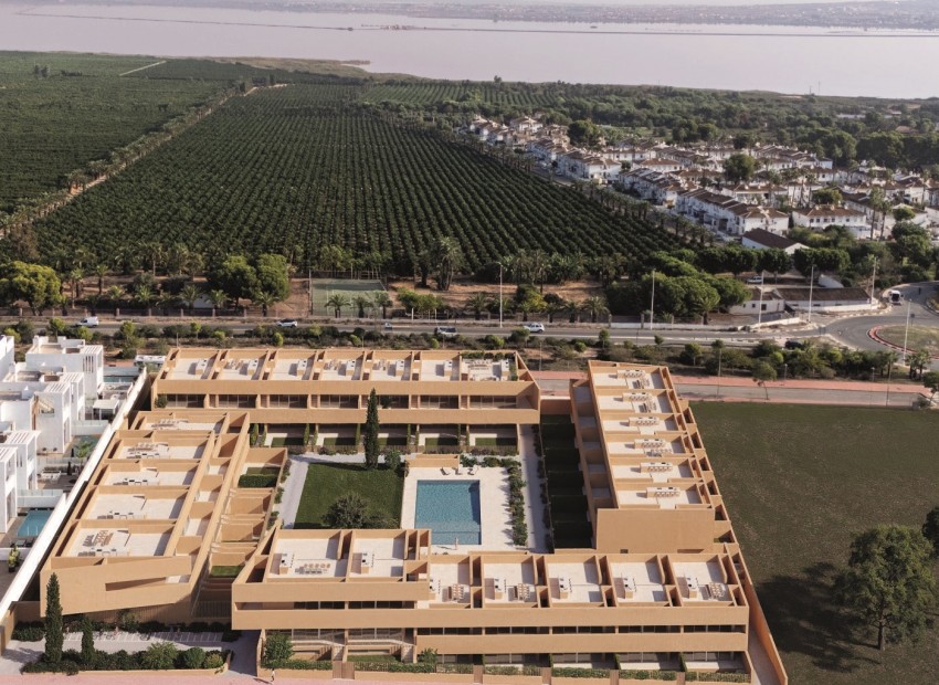 Nueva construcción  -  -
Torrevieja