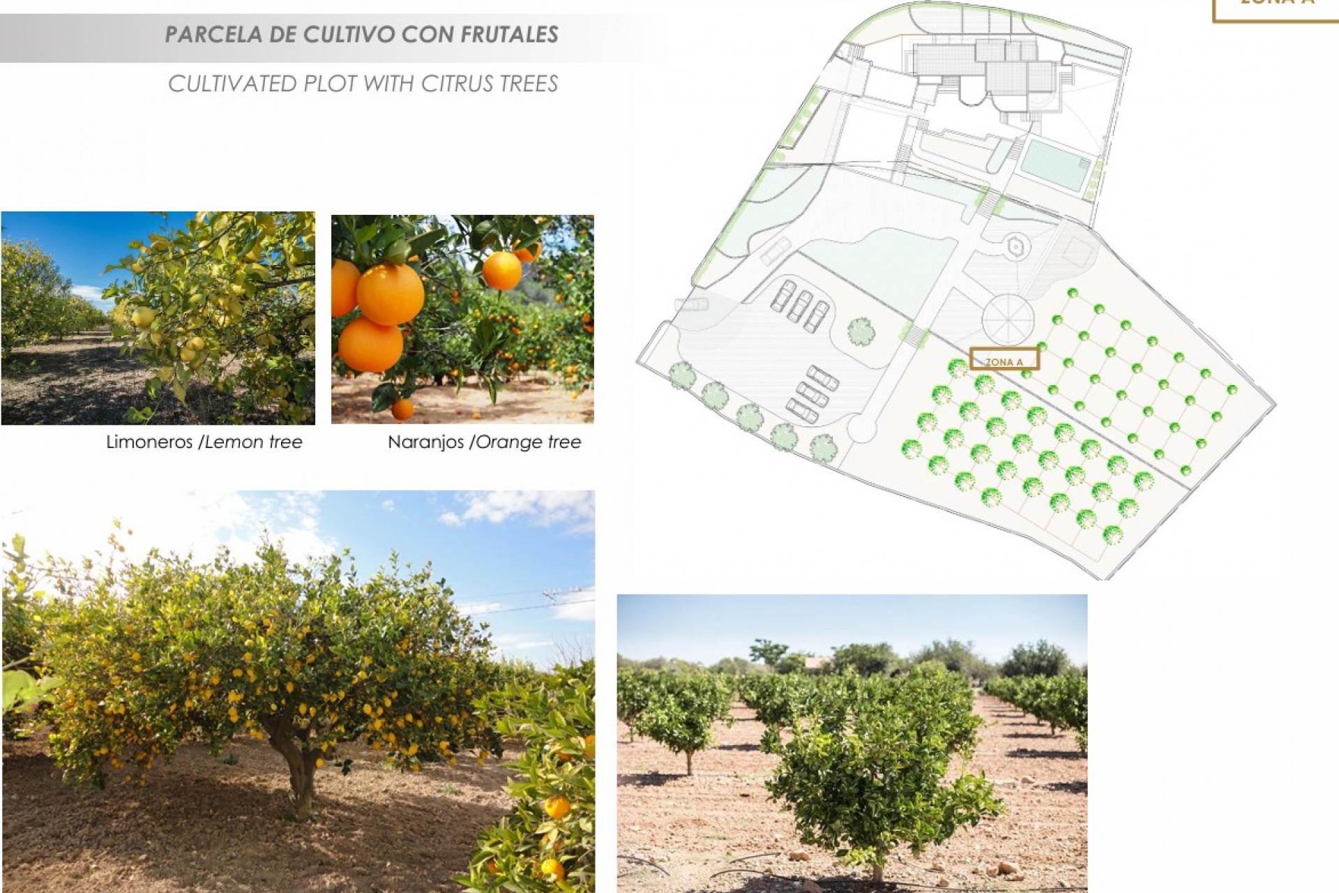 Nueva construcción  - Villa -
Altea - Jardines de Alhama