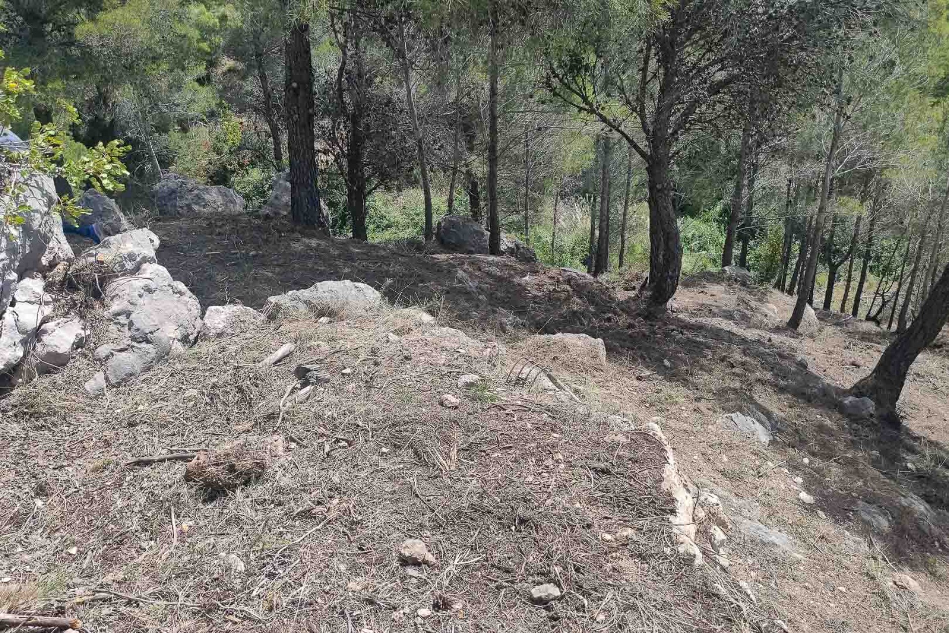 Nueva construcción  - Villa -
Altea