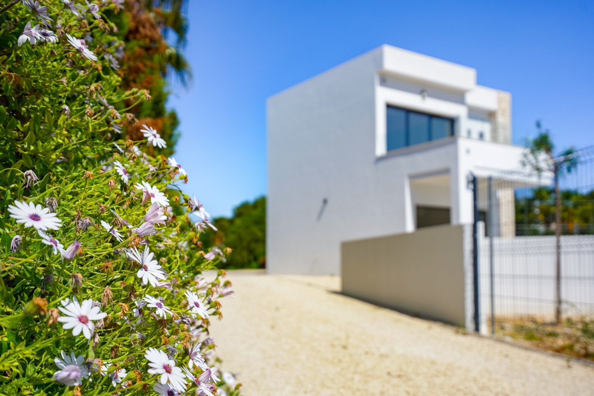 Nueva construcción  - Villa -
Benissa - La Fustera