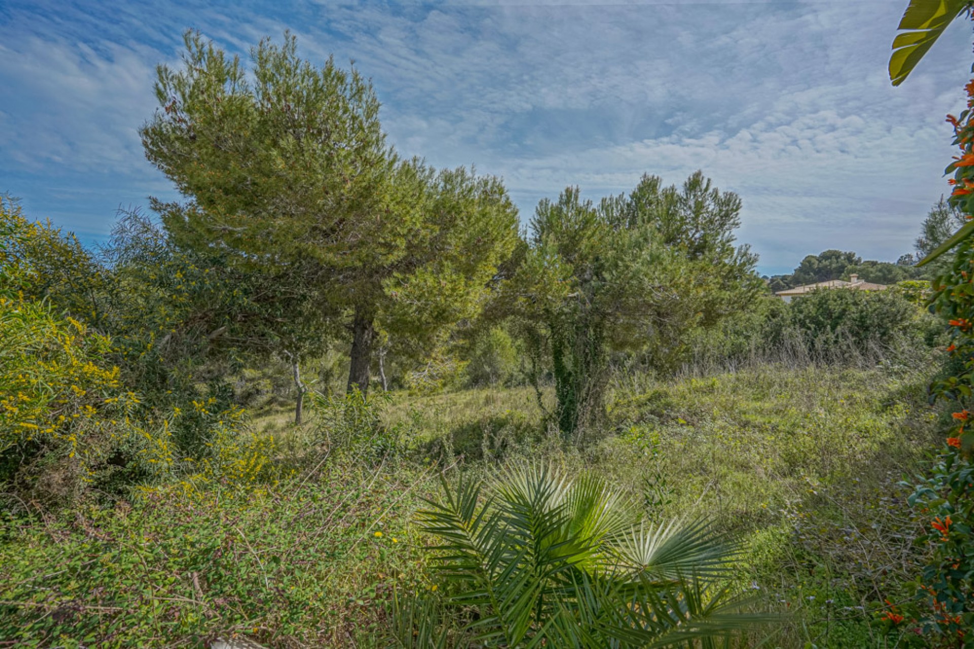 Nueva construcción  - Villa -
Benitachell - Urbanización Raco de Nadal