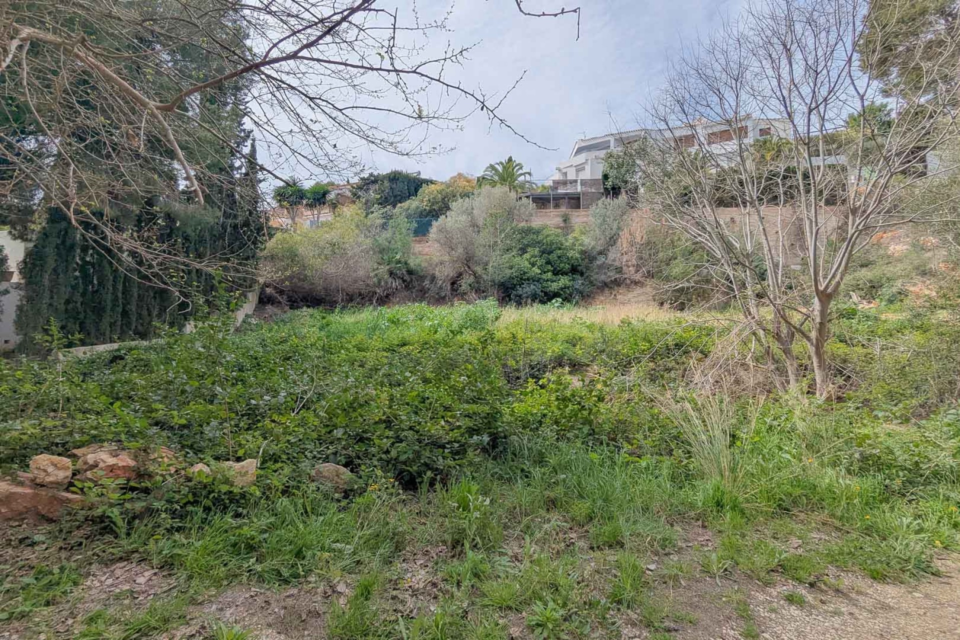 Nueva construcción  - Villa -
Jávea - La Corona