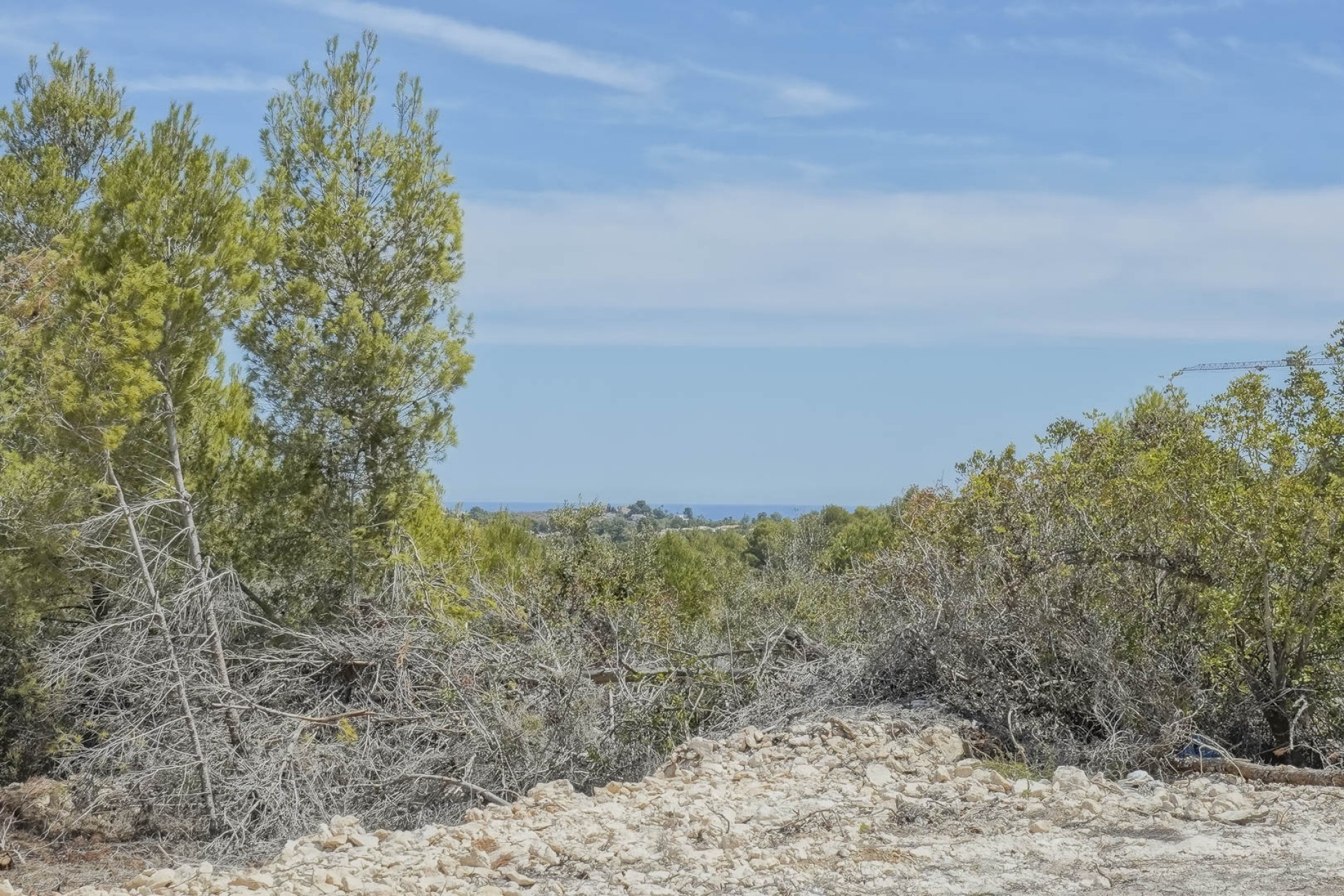 Nueva construcción  - Villa -
Jávea - Villes del Vent