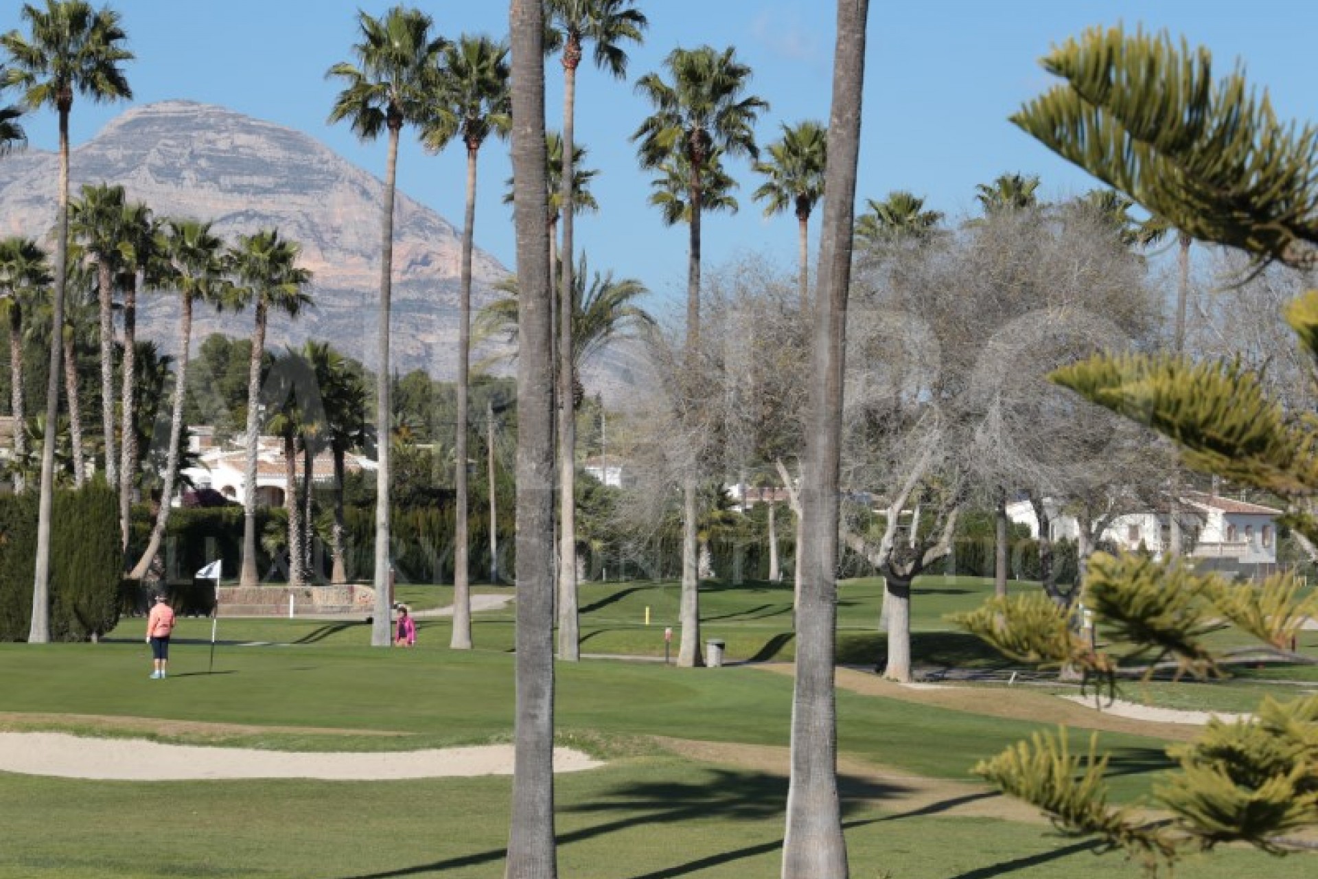 Nueva construcción  - Villa -
Jávea / Xàbia - Cap Martí - El Tossalet - Pinomar