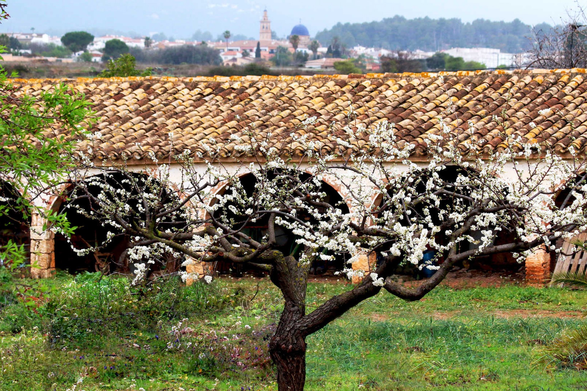 Nueva construcción  - Villa -
Lliber