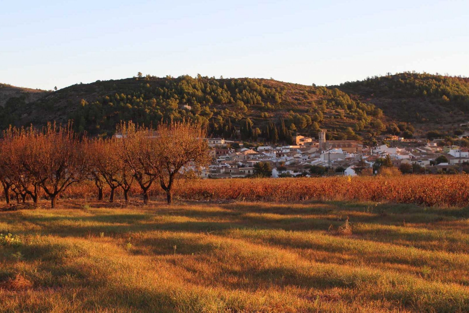 Nueva construcción  - Villa -
Lliber