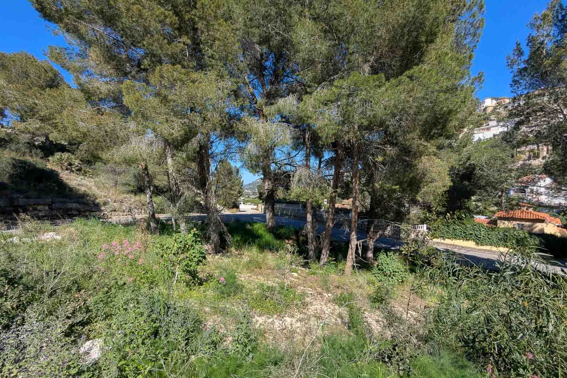 Nueva construcción  - Villa -
Pedreguer - Monte Solana