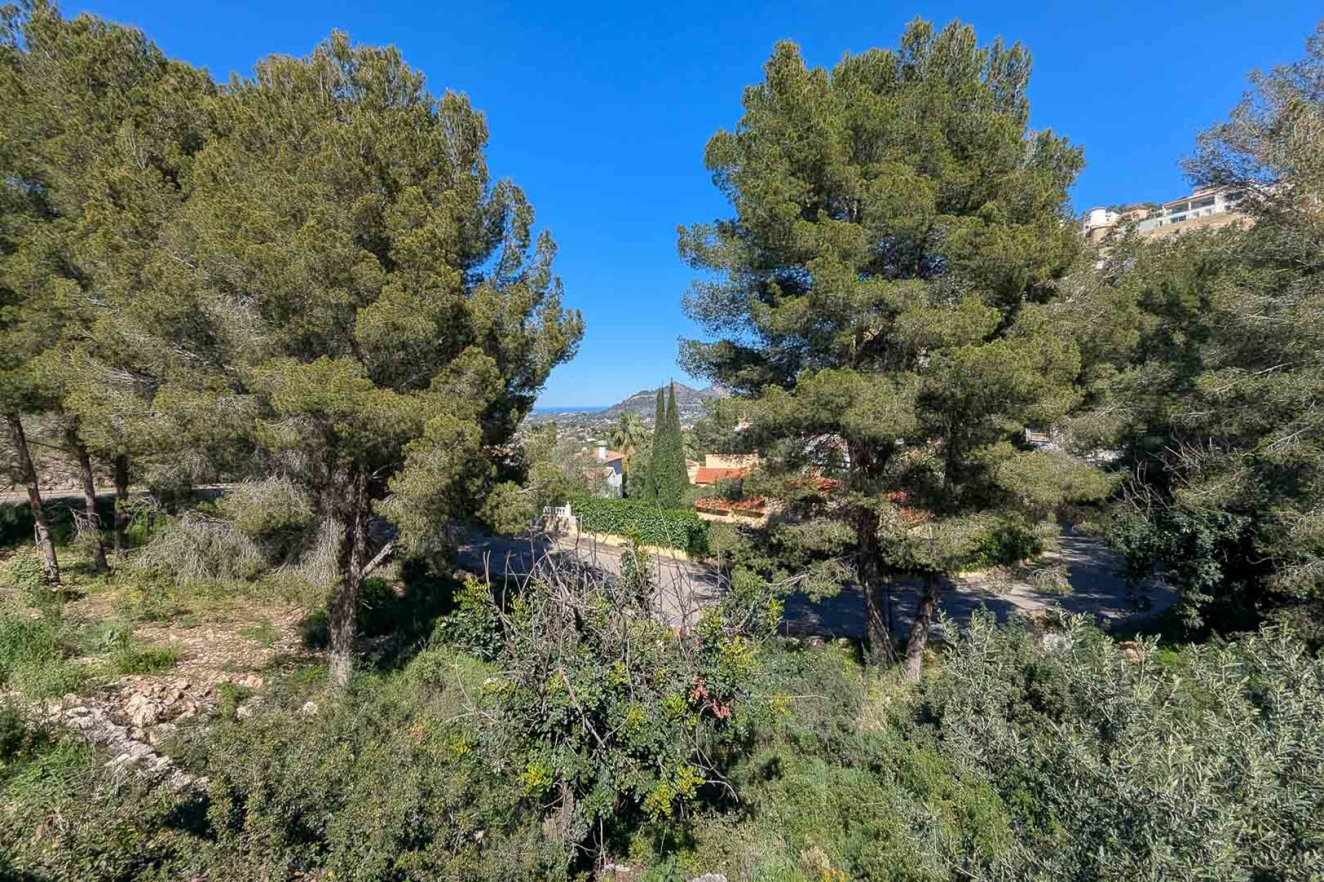 Nueva construcción  - Villa -
Pedreguer - Monte Solana