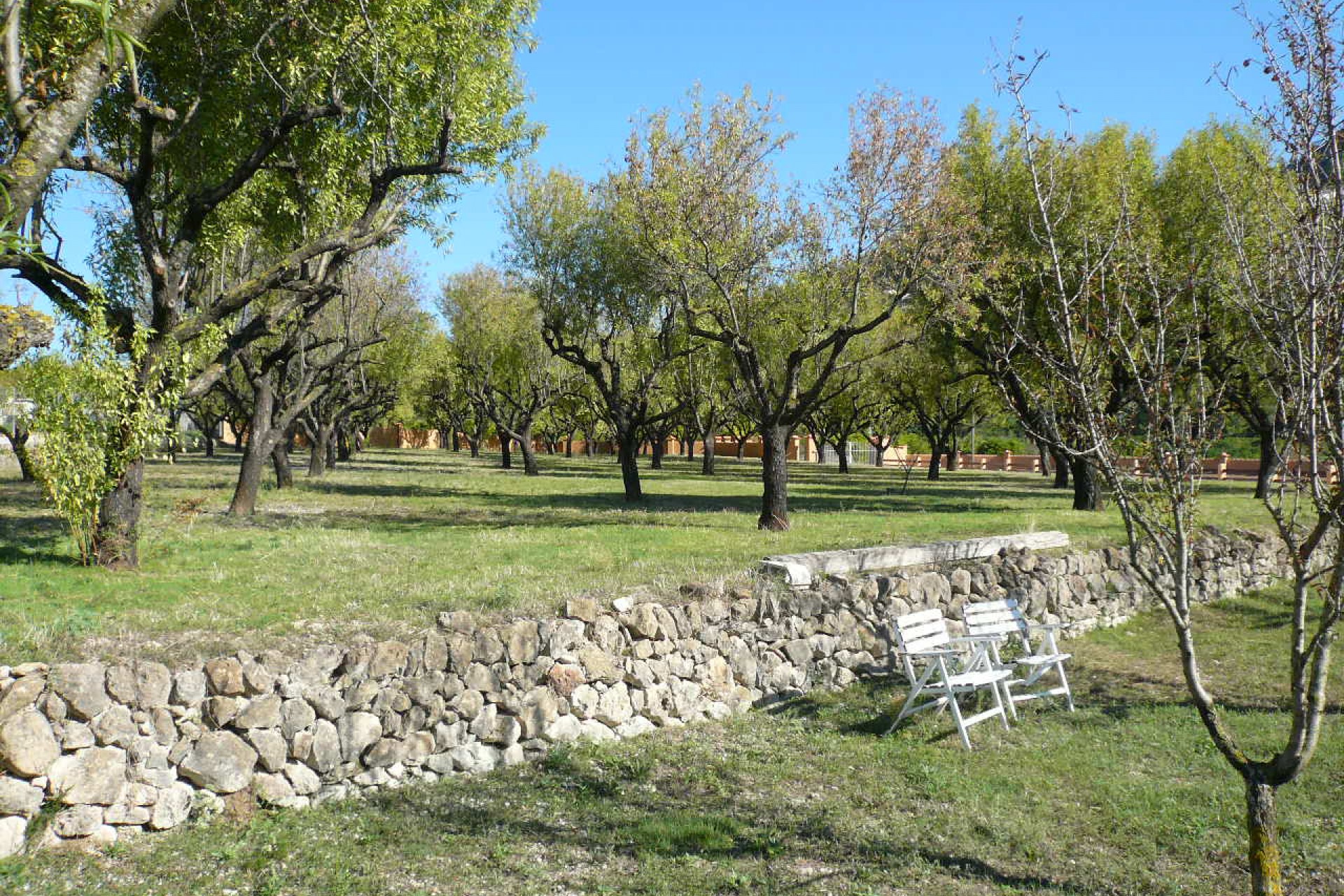 Nueva construcción  - Villa -
Pedreguer