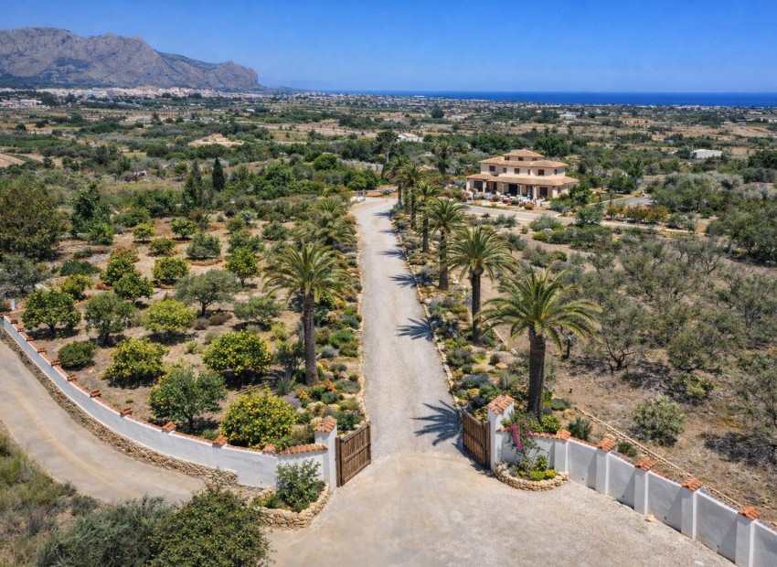Nueva construcción  - Villa -
Pedreguer