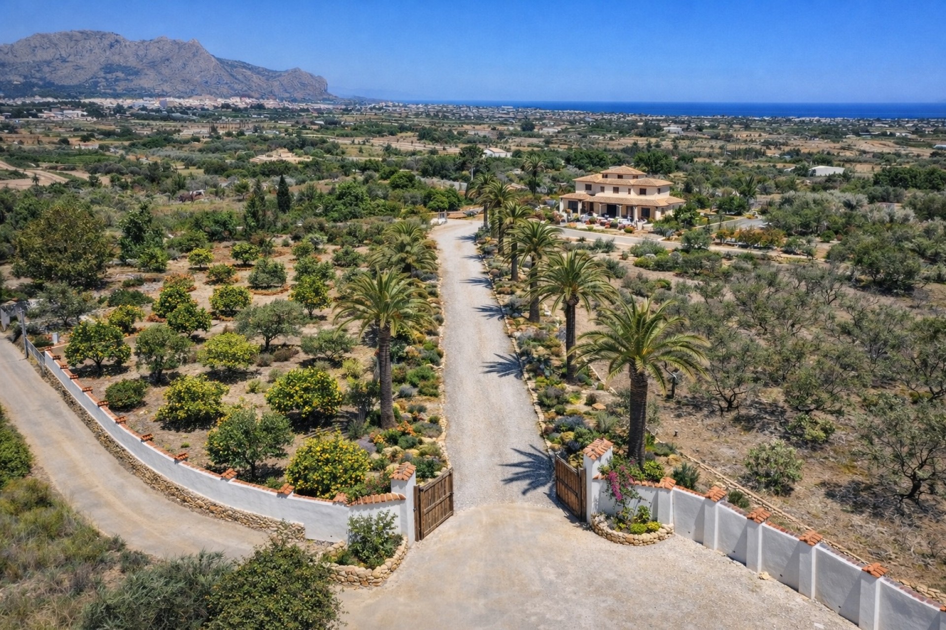 Nueva construcción  - Villa -
Pedreguer