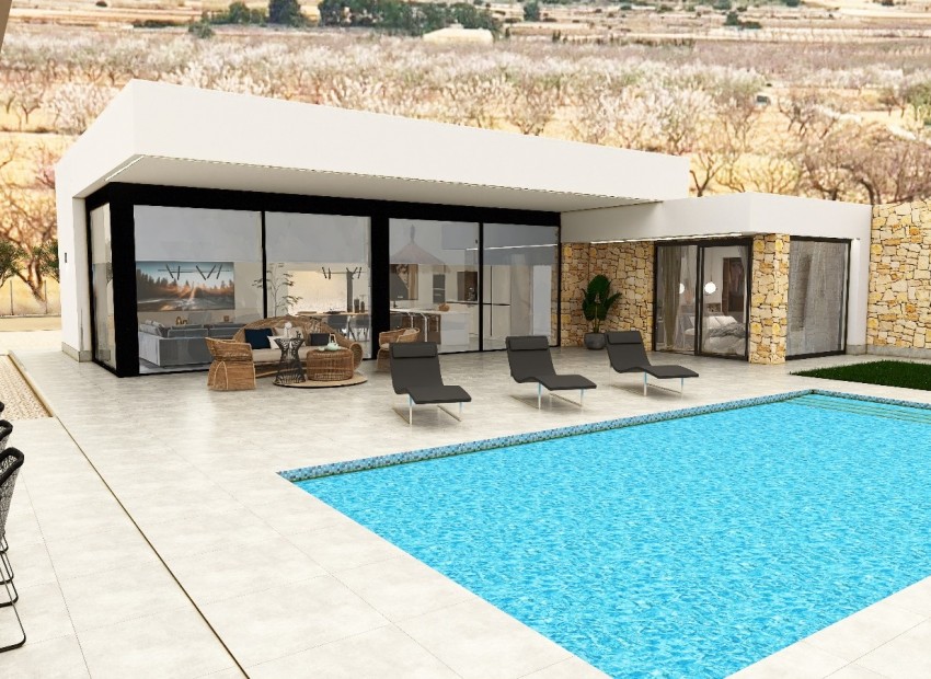 Nueva construcción  - Villa -
Pinoso
