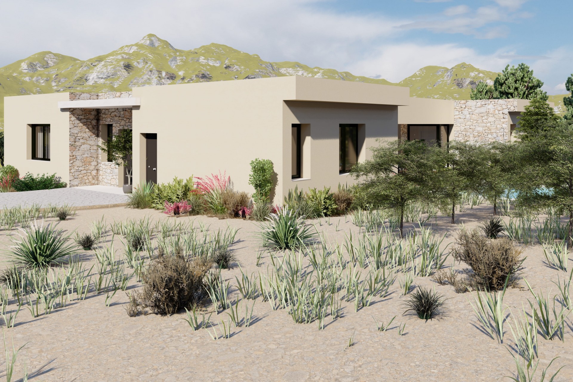 Nueva construcción  - Villa -
Yecla