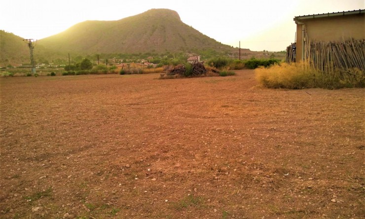 Parcela - Reventa - Aspe - SE8320