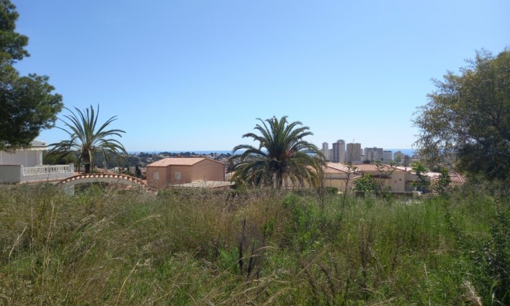 Parcela - Reventa - Calpe - Ortenbach