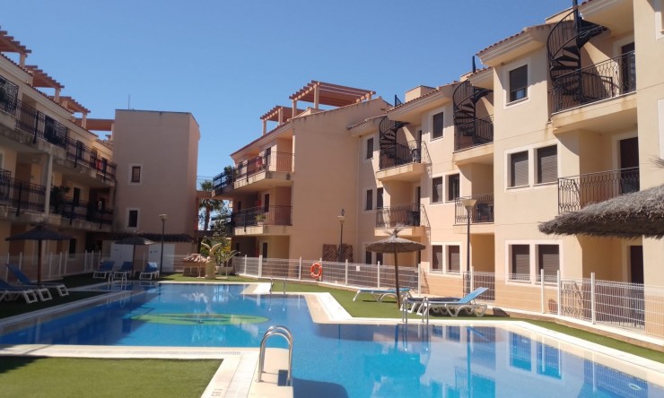Penthouse - Nowe budownictwo - Murcia - 