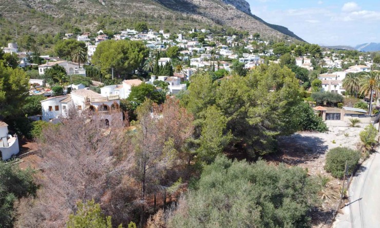 Plot - Herverkoop - Denia - Don Quijote