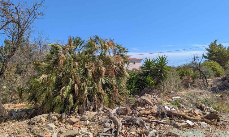 Plot - Resale - Denia -
                Corral de Calafat