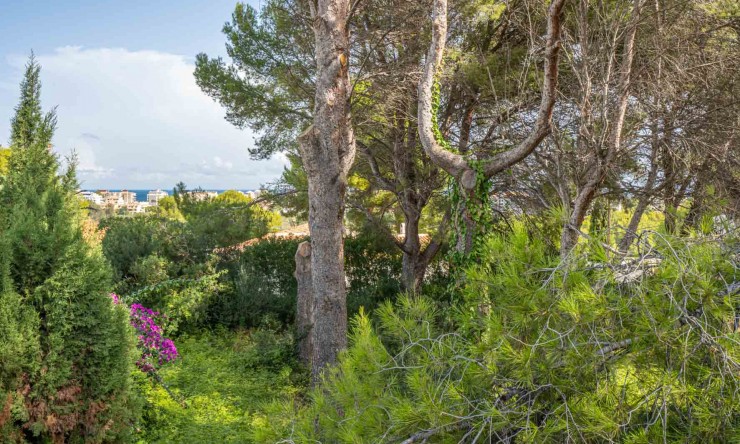 Plot - Resale - Jávea - Adsubia