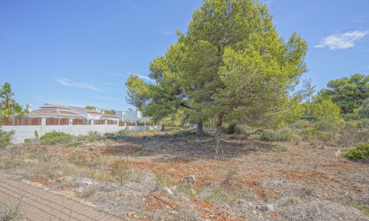 Plot - Resale - Jávea - Costa Nova