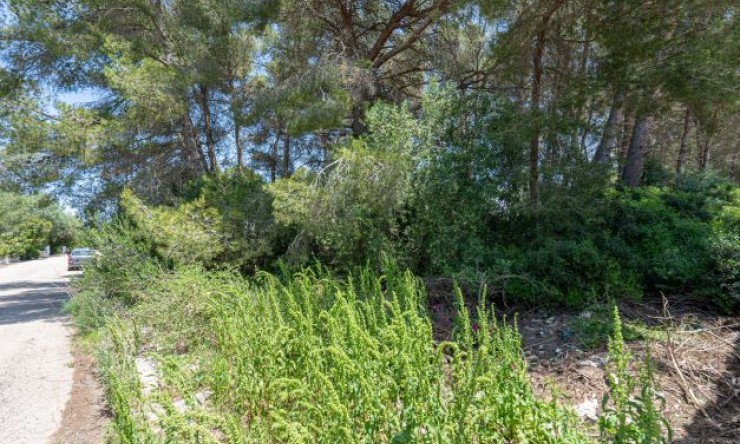 Plot - Resale - Jávea - Costa Nova