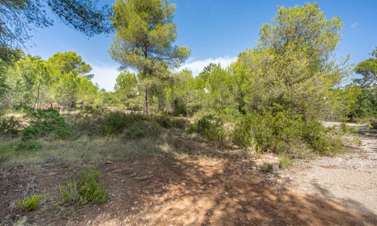 Plot - Resale - Jávea - Pinosol