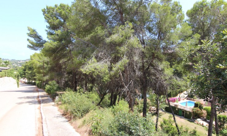 Plot - Resale - Jávea - Tosalet