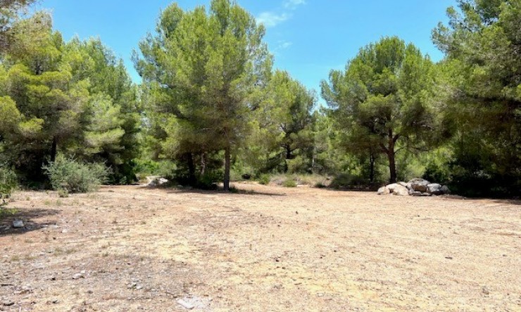 Plot - Resale - Polop - SE4911