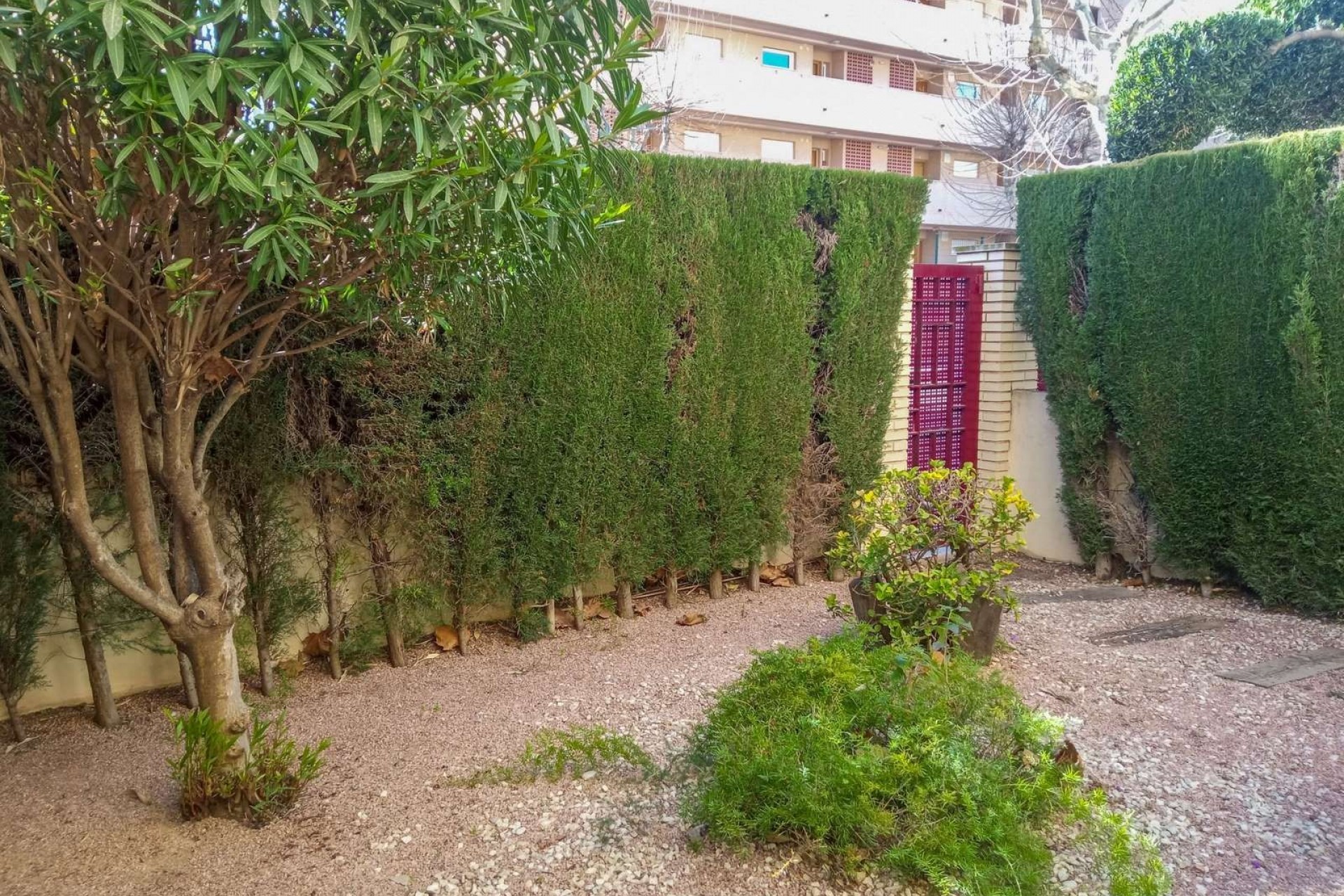 Resale - Apartment -
Albir