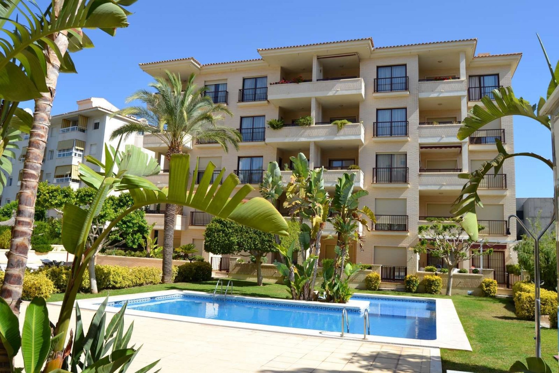 Resale - Apartment -
Albir