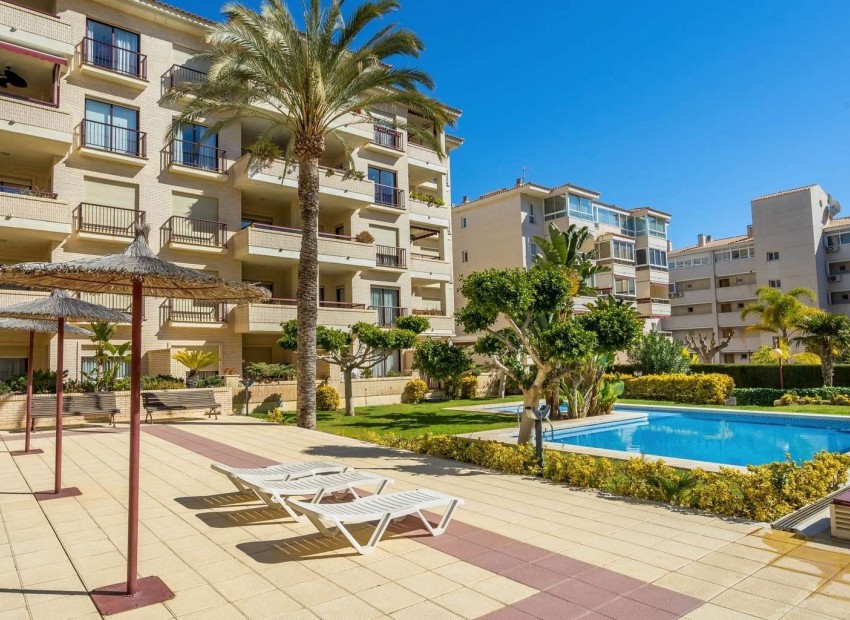 Resale - Apartment -
Albir