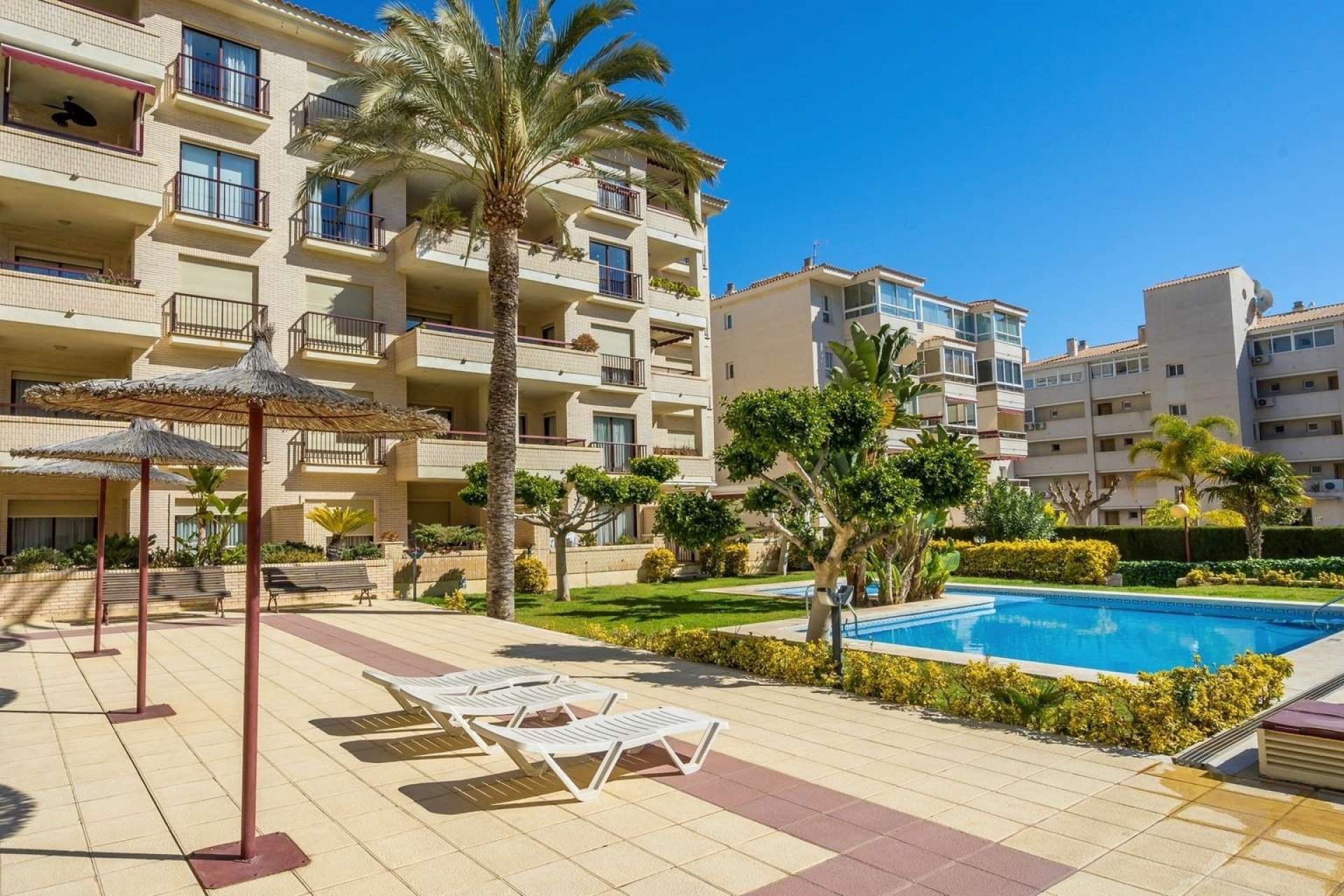 Resale - Apartment -
Albir