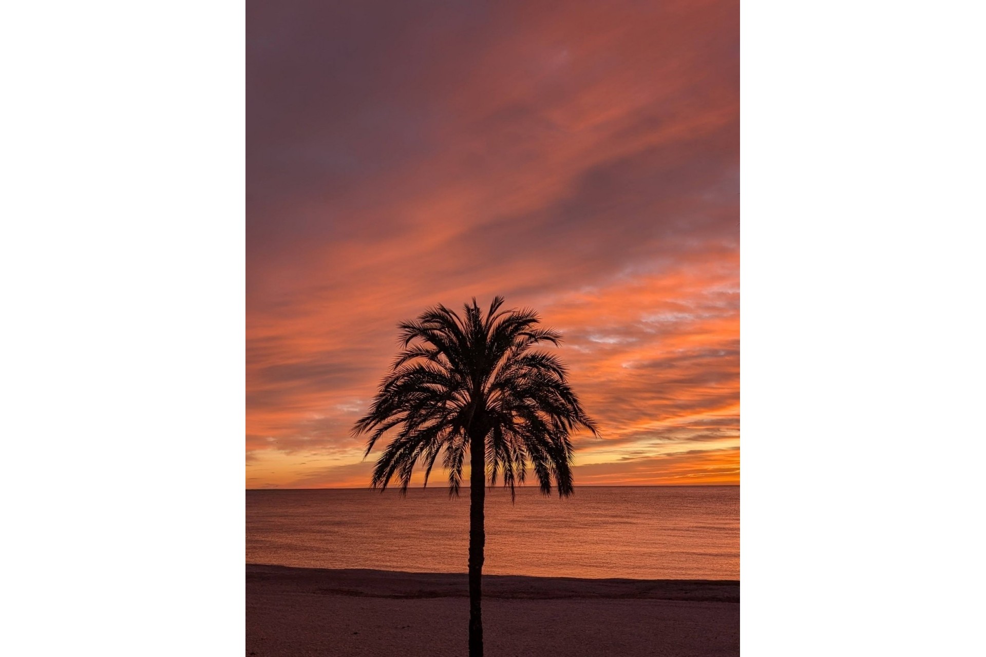 Resale - Apartment -
Altea - Altea ciudad