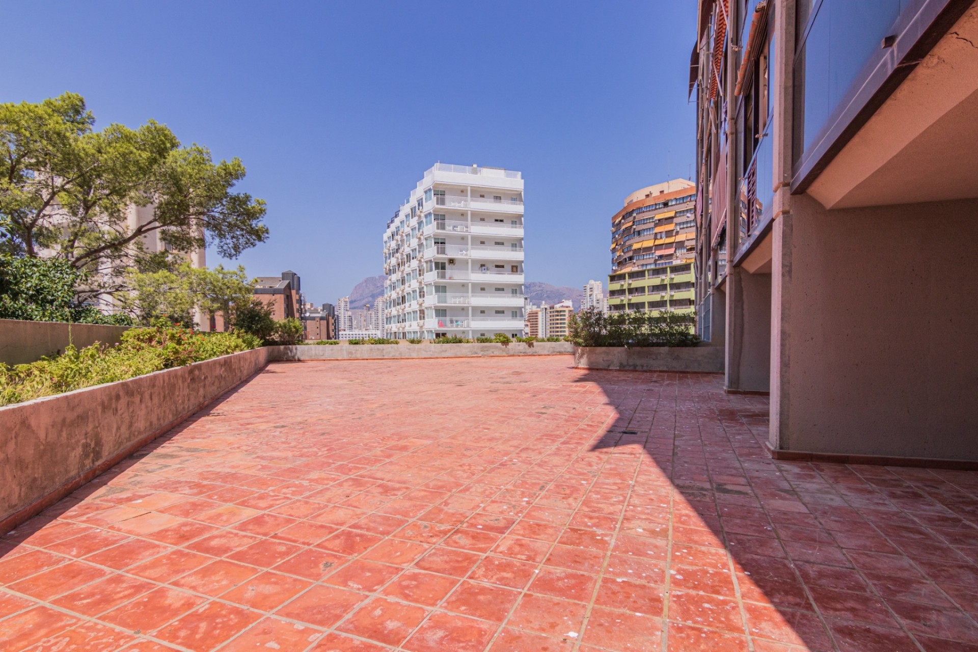 Resale - Apartment -
Benidorm