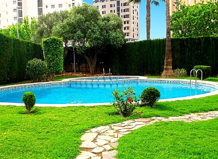 Resale - Apartment -
Calpe / Calp - Playa Arenal - Bol