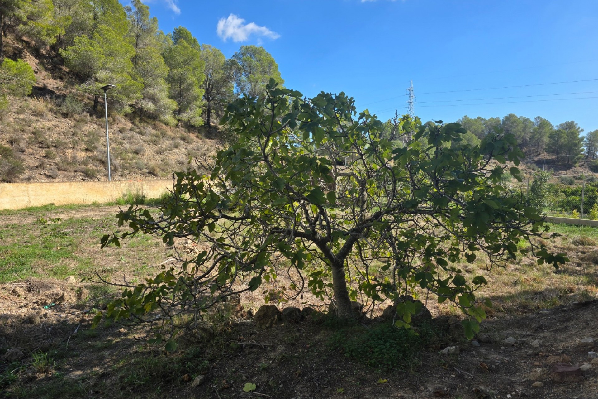 Resale - Building Plot -
Altea - Altea La Vella