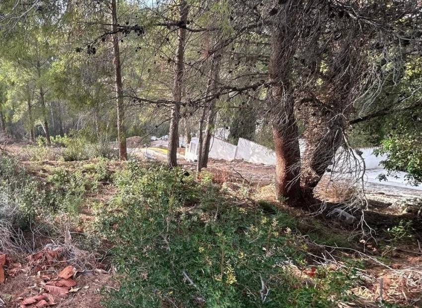 Resale - Building Plot -
Altea - La Vieja