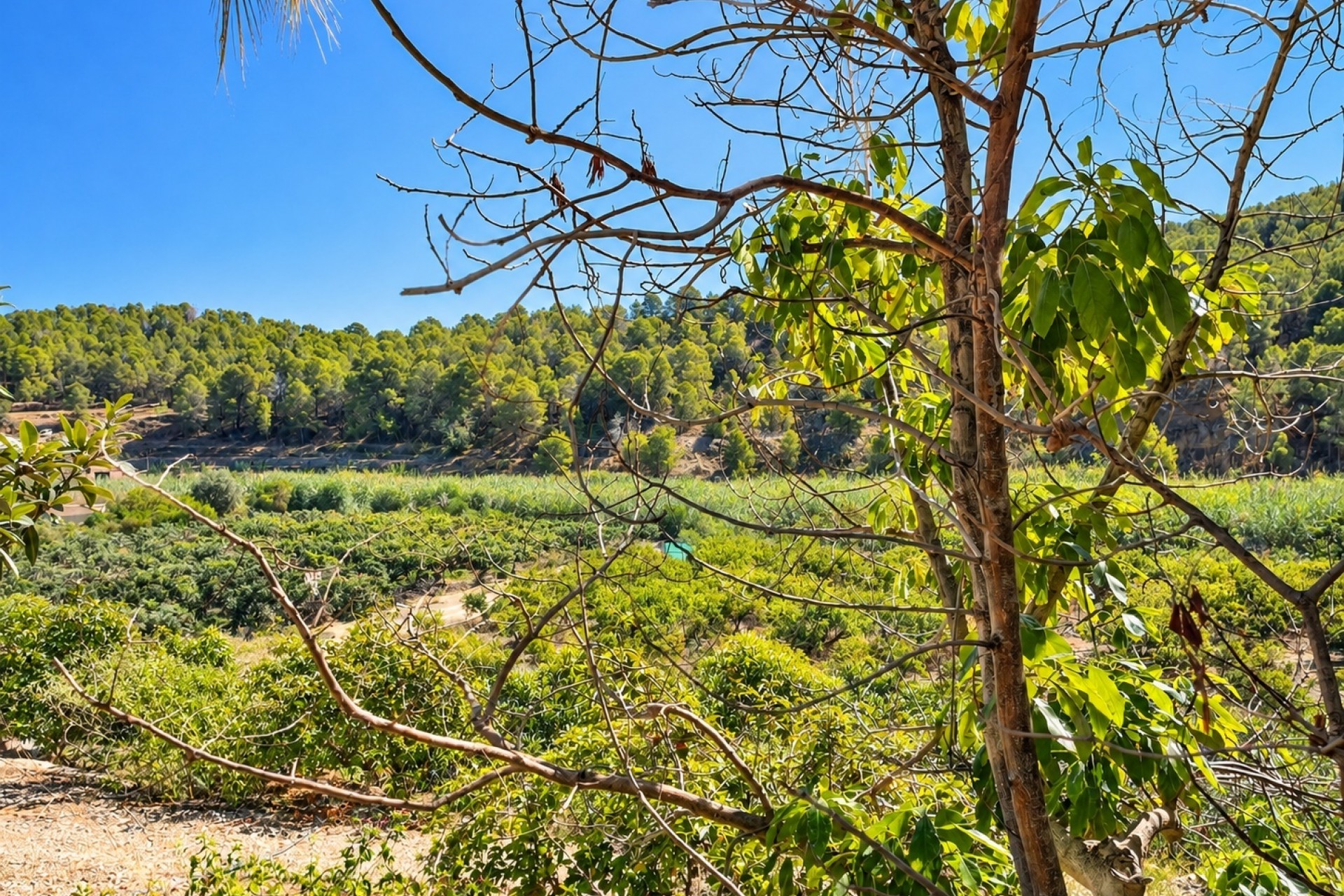 Resale - Countryhouse -
Altea - Altea La Vella
