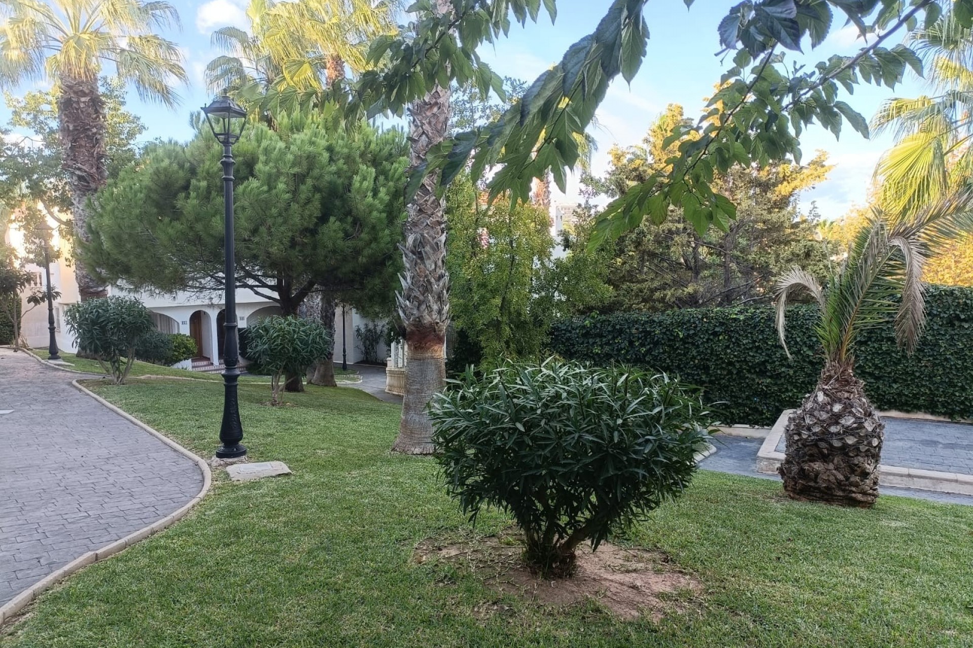 Resale - Countryhouse -
Gran Alacant