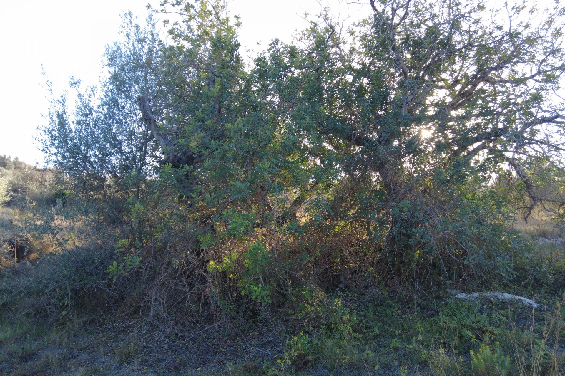 Resale - Countryhouse -
Jávea / Xàbia - Centro ciudad
