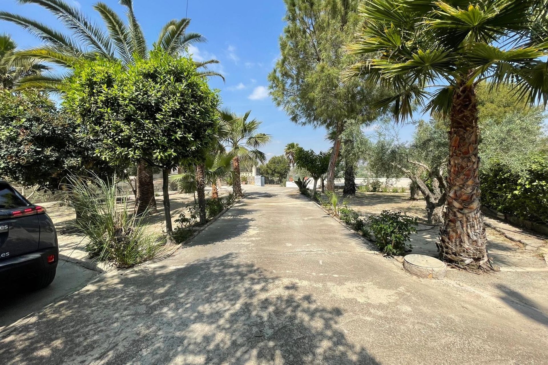 Resale - Detached Villa -
El Rebolledo