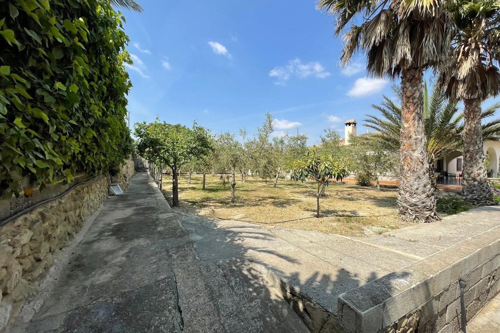 Resale - Detached Villa -
El Rebolledo