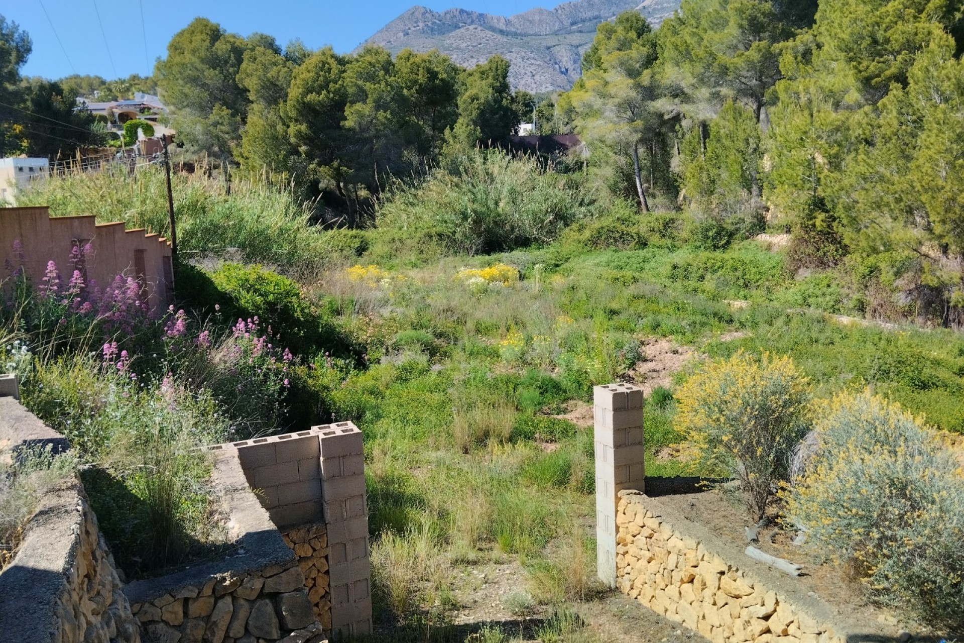 Resale - Finca -
Altea - Altea La Vella