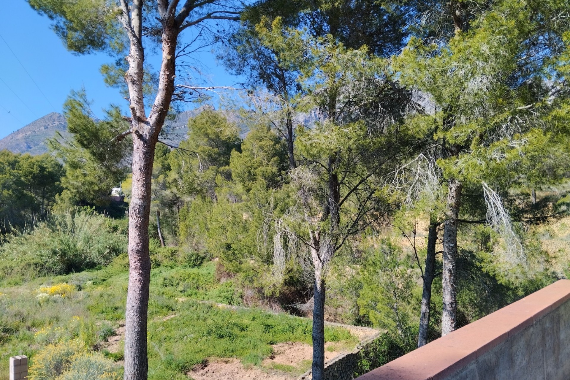 Resale - Finca -
Altea - Altea La Vella