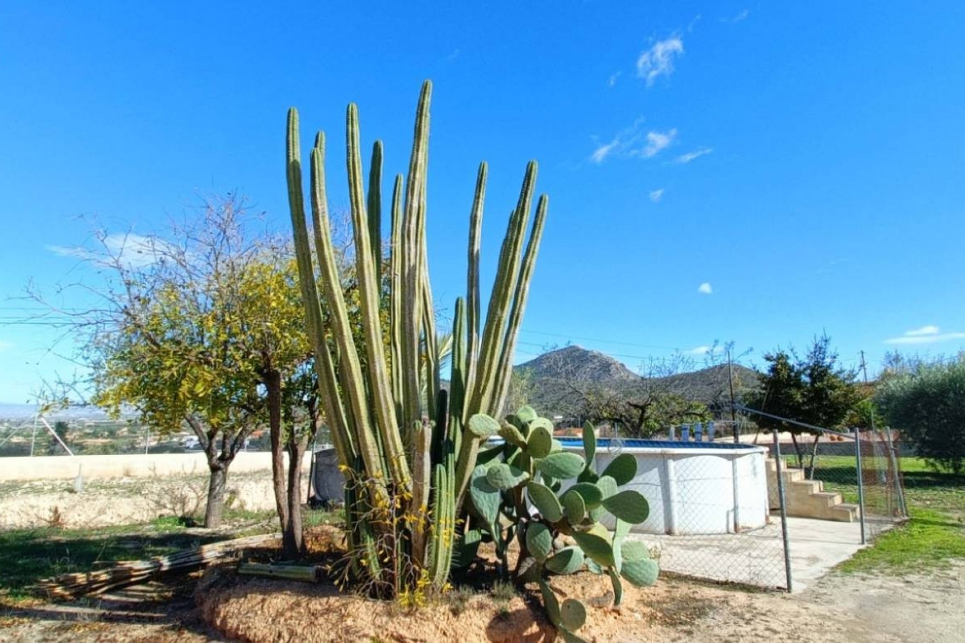 Resale - Finca -
Hondón de los Fráiles