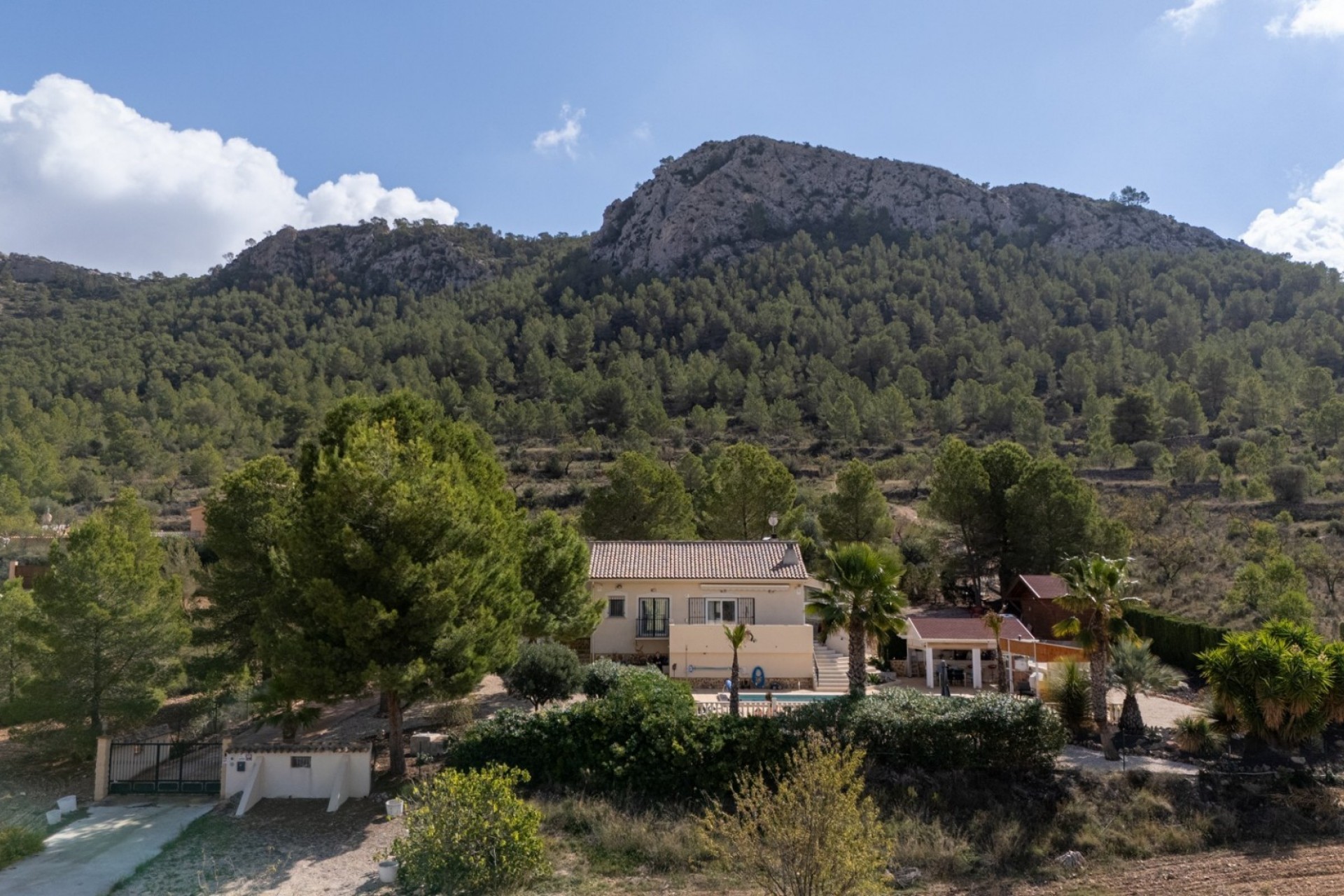 Resale - Finca -
La Zarza